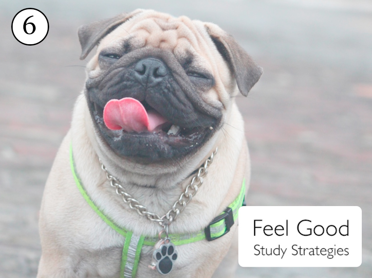 Feel good study strategies