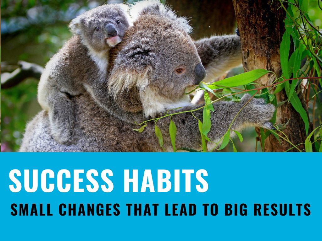 Success habits (teacher-led session)