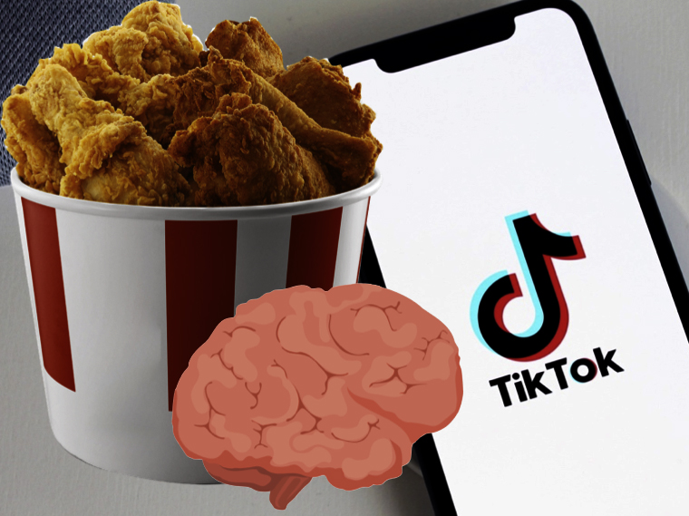 TikTok is KFC for the brain